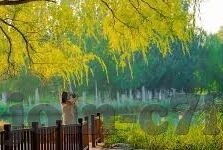 代号英雄九游版下载-代号英雄九游版下载安装全攻略