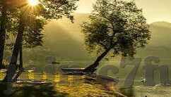 足球比分4场-绿茵烽火，四场足球比分的激情交响